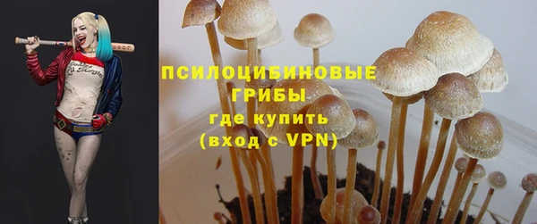 твердый Кинешма